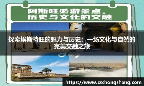 必一体育