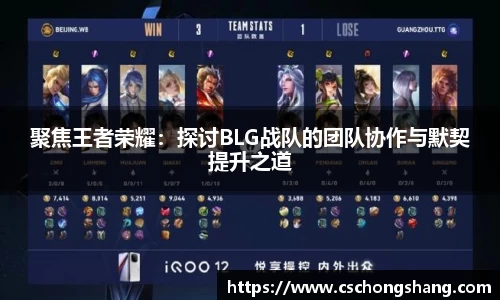 聚焦王者荣耀：探讨BLG战队的团队协作与默契提升之道